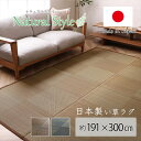 【メーカー直送品】DXノア カーペット 191×300【ござ カーペット い草 畳 日本製 リビング 子供部屋 寝室 国産 引越 引っ越し 引越し 抗菌防臭 敷...