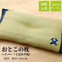 【メーカー直送品】おとこの枕 ハイパー くぼみ平枕 43×63【い草 低反発 ウレタン チップ 父 ごろ寝 枕 くつろぐ 昼寝 お昼寝 まくら マクラ 夏 快適 調湿 防ダニ 消臭 シンプル いぐさ イグサ 日本製 昼寝まくら 昼寝枕】