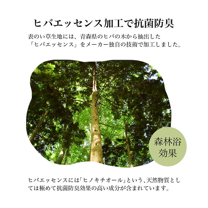 【メーカー直送品】おとこの足枕おふくろの足枕48times;15【い草足まくら足用足を高くする低反発ウレタンパイプ父母お父さんお母さんプレゼント贈り物ギフト枕くつろぐ昼寝お昼寝まくらマクラ夏快適調湿防ダニ消臭シンプルいぐさイグサ日本製】