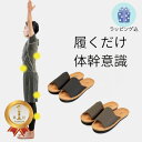 【ラッピング込】前あきタイプ 体幹を整えるスリッパ Sliet スリエット Y-Type メンズ 大きいサイズ 体幹スリッパ すりえっと 体幹トレーニング スリ...