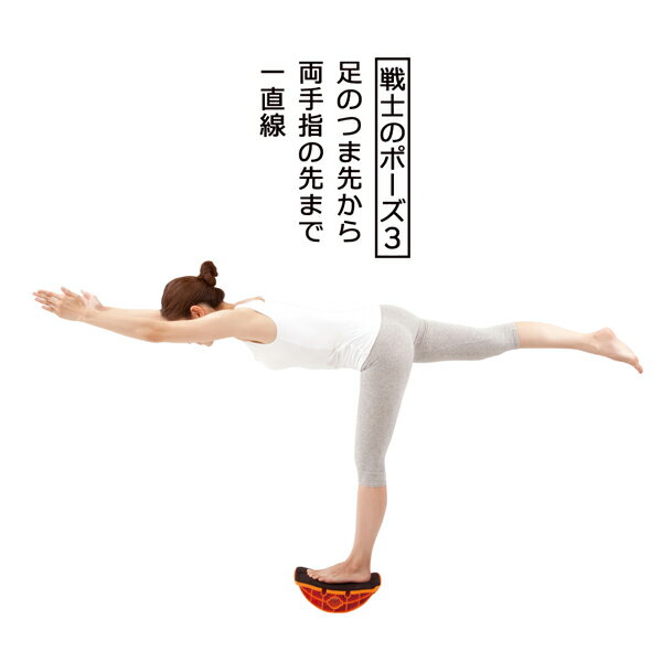 体幹バランストレーニングユラミンゴ