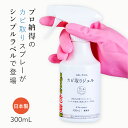 【あす楽・日本製】GEL PiKA カビ取りジェル スプレータイプ【カビ取りジェル カビとり かびとり カビ取り剤 かび カビ ジェル お風呂 お風呂場 風呂 浴室 掃除 洗剤 スプレー 風呂掃除 お風呂掃除 お掃除 そうじ カンタン 簡単 便利グッズ 大掃除 タイプ 落とす グッズ】