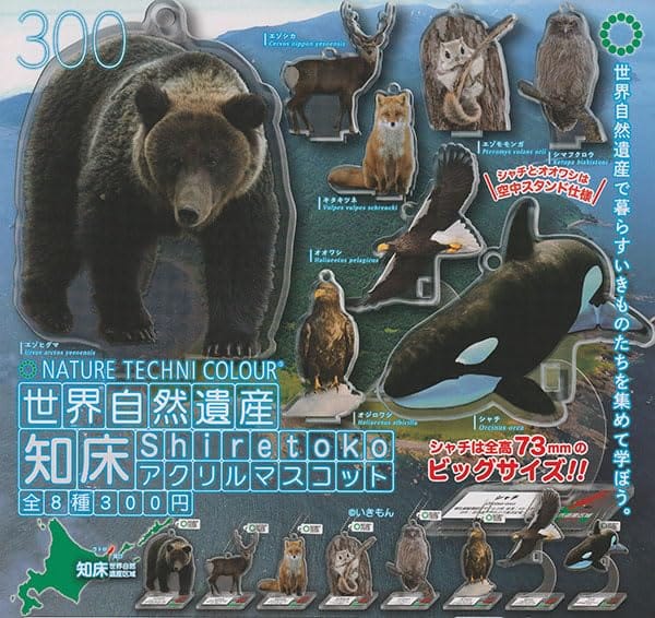 樂天商城 - [いきもん] ネイチャーテクニカラー 世界自然遺産 知床 アクリルマスコット 全8種セット