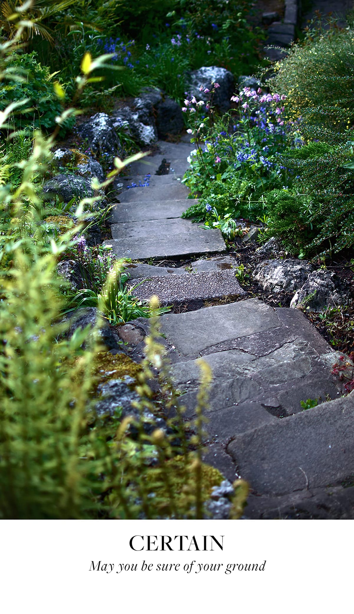 Earth Blessings Oracle Cards: Connect With the Healing Power of Nature a 48 Card Deck With Guidebook