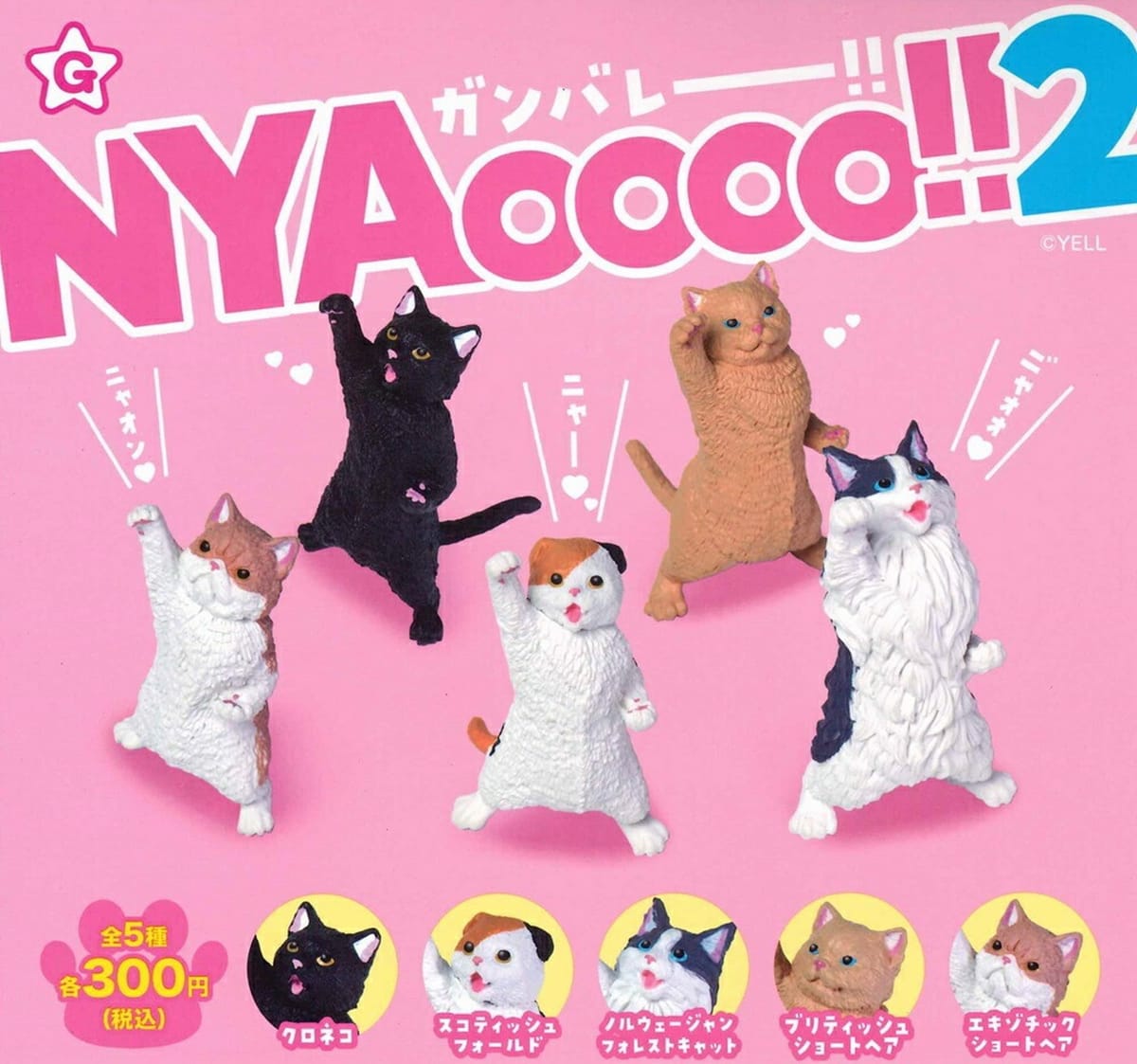 エール ガンバレー!! NYAoooo!!2 × 全5�