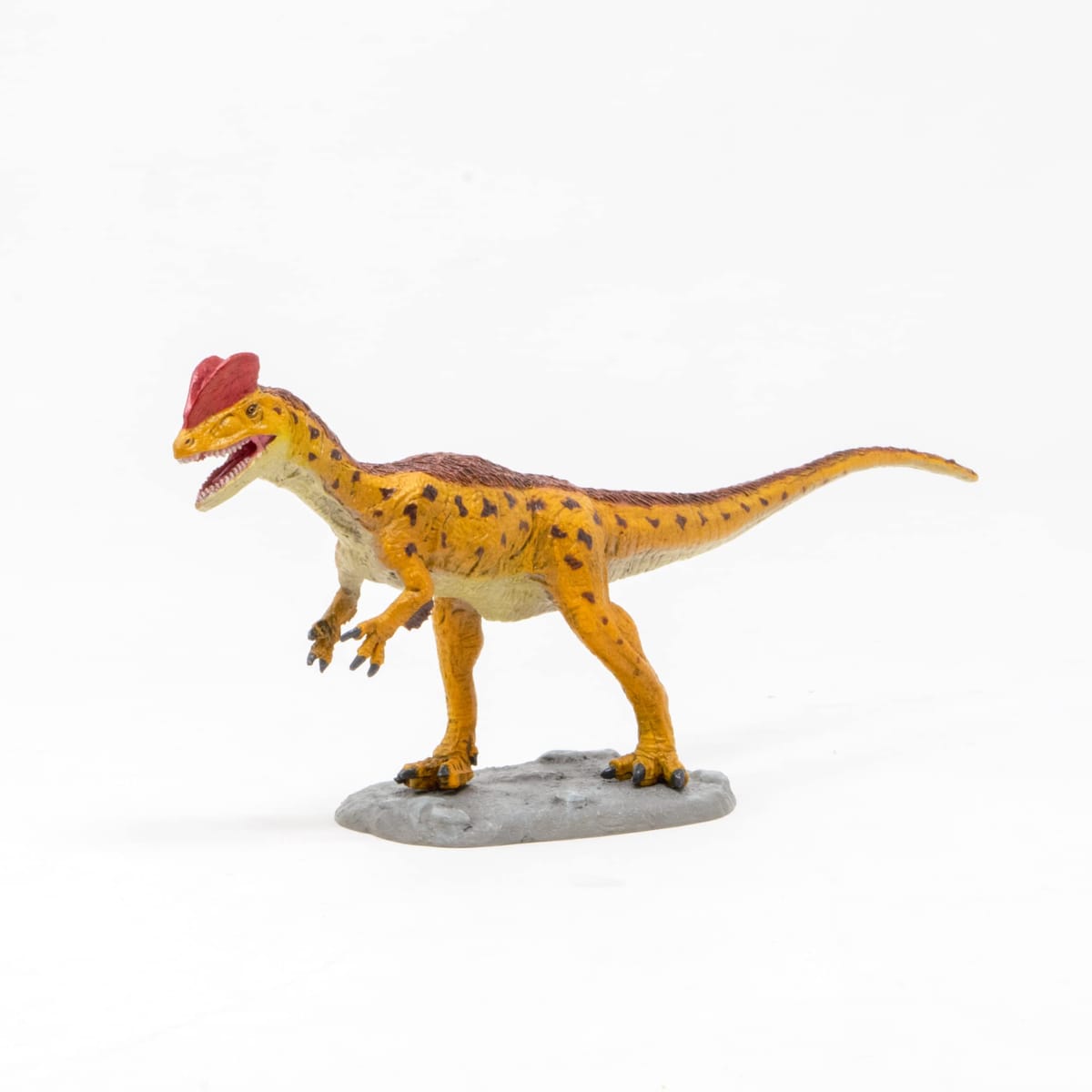 樂天商城 - ディロフォサウルス ソフトモデル