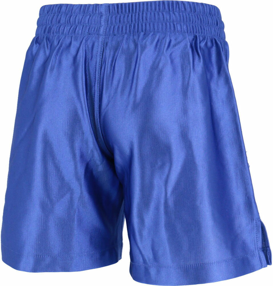 GRANDE(グランデ) BASICFOOTBALLPANTSROYAL (hrn-gfpw20791-85) ユニフォーム ゲームシャツ プラクティスシャツ プラシャツ・パンツ サッカー フットサルクリスマス プレゼント ギフト安売り サッカー 用品 セール