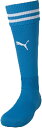 PUMA(プーマ) ジュニアストッキング13サックスE-WHITEグリー(pj-729882-13) ストッキング ソックス 靴下サッカー プレゼント ギフト