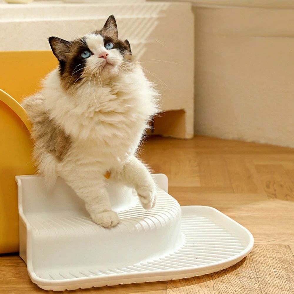 �緿ǭ�ȥ��졡�����ץ󥿥��ס�ǭ�ѥȥ������Ρ��礭�ᡡ���ᡡǭ�Υȥ��졡��������������ä��ꡡ�����ӻ����ɻߡ��糫���������å��դ����礭��ǭ�Υȥ��졡�ڥåȥȥ��졡�ݽ���ñ�������դ������������ñ��¿Ƭǭ�ѡ���������