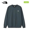 25FW ザ・ノース・フェイス スモールロゴヘザースウェットクルー ユニセックス(S M L XL)NT62532 カラーUN 裏毛 トレーナー THE NOR...