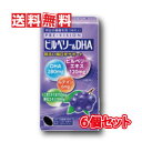 【送料無料】湧永製薬 プレビジョン ビルベリー&DHA 120粒 6箱セット(ディーエイチエー 120錠)