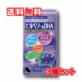 【送料無料(沖縄県を除く)】湧永製薬 プレビジョン ビルベリー DHA 120粒 3個セット(ディーエイチエー 120錠)