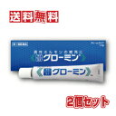 【第1類医薬品】【送料無料(沖縄県を除く)】大東製薬工業 グローミン 10g 2個セット 【性機能改善薬/ホルモン外用薬】【承諾作業後の発送となります】