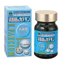 楽天あるあるの森【3980円以上で送料無料】湧永製薬 プレビジョン 乳酸菌＆カテキン 180粒