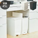 【当店限定特典付】ゴミ箱 45リットル 観音開きおしゃれ 分別 スリム ダストボックス 日本製 ペダルオープンツイン ペダル式ゴミ箱 蓋 蓋つき 抗菌 防汚 北...