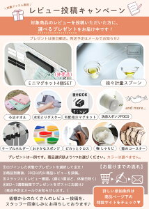 【365日出荷&当店限定特典付き】山崎実業 マグネット神札ホルダー RIN 公式 リン 神札 お札 破魔矢 神棚 お札入れ お札立て お札差し 神社 参拝 初詣 神道 祈念 収納 棚 木目 スチール 磁石 6109 6110 yamazaki リンシリーズ