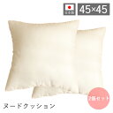 [400円クーポン配布中]【当店限定特典付】ヌードクッション 2個セット クッション 日本製 45×45 シリコン綿 ワタ多め おしゃれ 可愛い 洗える ファミリー インテリア 角型 ひとり暮らし 雑貨 2個入り 正方形 ふわふわ