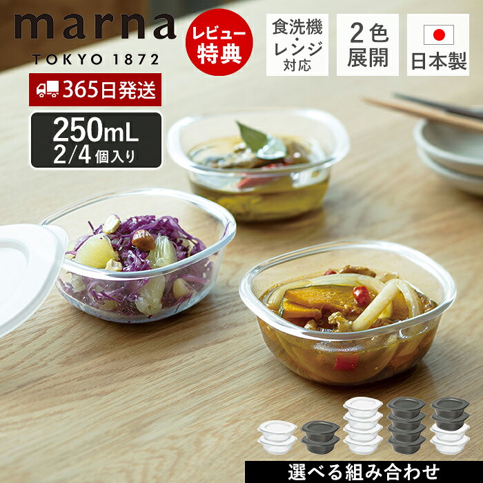 【365日出荷＆当店限定特典付】うつわにもなる保存容器 250mL 2個入り 耐熱 保存容器 おしゃれ プラスチック 食洗機対応 電子レンジ対応 キャニスター 器 食器 洗いやすい 日本製 BPAフリー マーナのきほん K831 marna マーナ