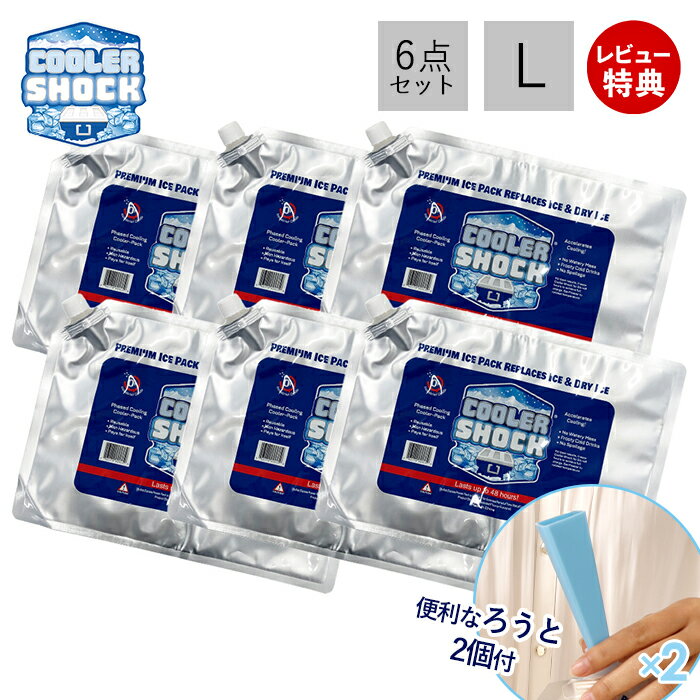 ŹŵդCOOLER SHOCK 顼å  L 6ĥå ե  ѥå   ɹ ⵡ...