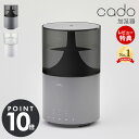 カドー 卓上加湿器 【豪華特典2個付き】 cado カドー 加湿器 STEM300 ステム300 HM-C300 超音波式 抗菌 除菌 上部給水 大容量 3.5L 静音 卓上 コンパクト タイマー アロマ ディフューザー フレグランス LED 間接照明 寝室