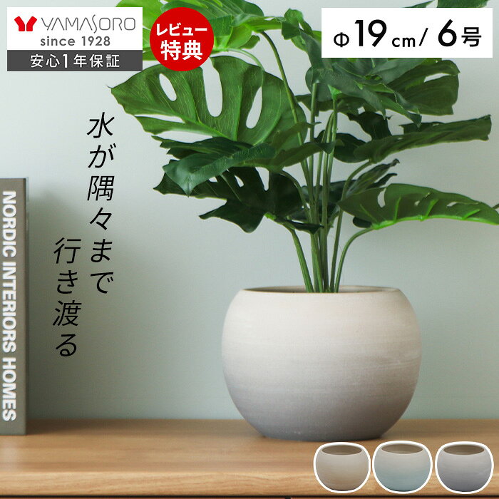 楽天市場】6号 鉢カバー（植木鉢｜植木鉢・プランター）：ガーデニング
