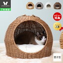 ペットベッド 猫用 小型犬 ペットソファー クッション シート ふわふわ モコモコ 猫ベッド 犬ベッド 洗える みかん オレンジ 送料無料