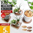 【365日出荷&当店限定特典付き】山崎実業 インテリア低台車 リン ラウンド スクエア RIN 公式 平台車 ドーリー コンパクト 家庭用 キャスター付き 耐荷重30kg 木目柄 観葉植物 押し入れ ホワイト ブラック 10062 10064 yamazaki