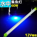 水中集魚灯 LED シラスウナギ 集魚灯 水中ライト 水中灯 12V 専用 60w 9600lm 集魚ライト ライト 船舶ライト 船舶 釣り ledライト 釣果 シラウオ イカ アジ タチウオ アオリイカ 夜焚き 堤防釣り