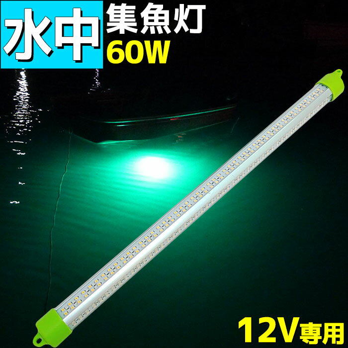 潸 LED  饤 潸饤 LED饤 12V  60w 7000lm  ֥롼 å ꡼  ۥ磻 饤 饤    饹ʥ 饦    ʲ 