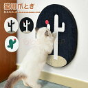新生活用品 爪とぎ 爪研ぎ 猫 壁 縦型 ダンボール 段ボール 爪とぎ 壁 スタンドタイプ ダンボール 爪研ぎ 両面 段ボール のつめとぎ 爪とぎ 段ボール 紙製 爪研ぎ