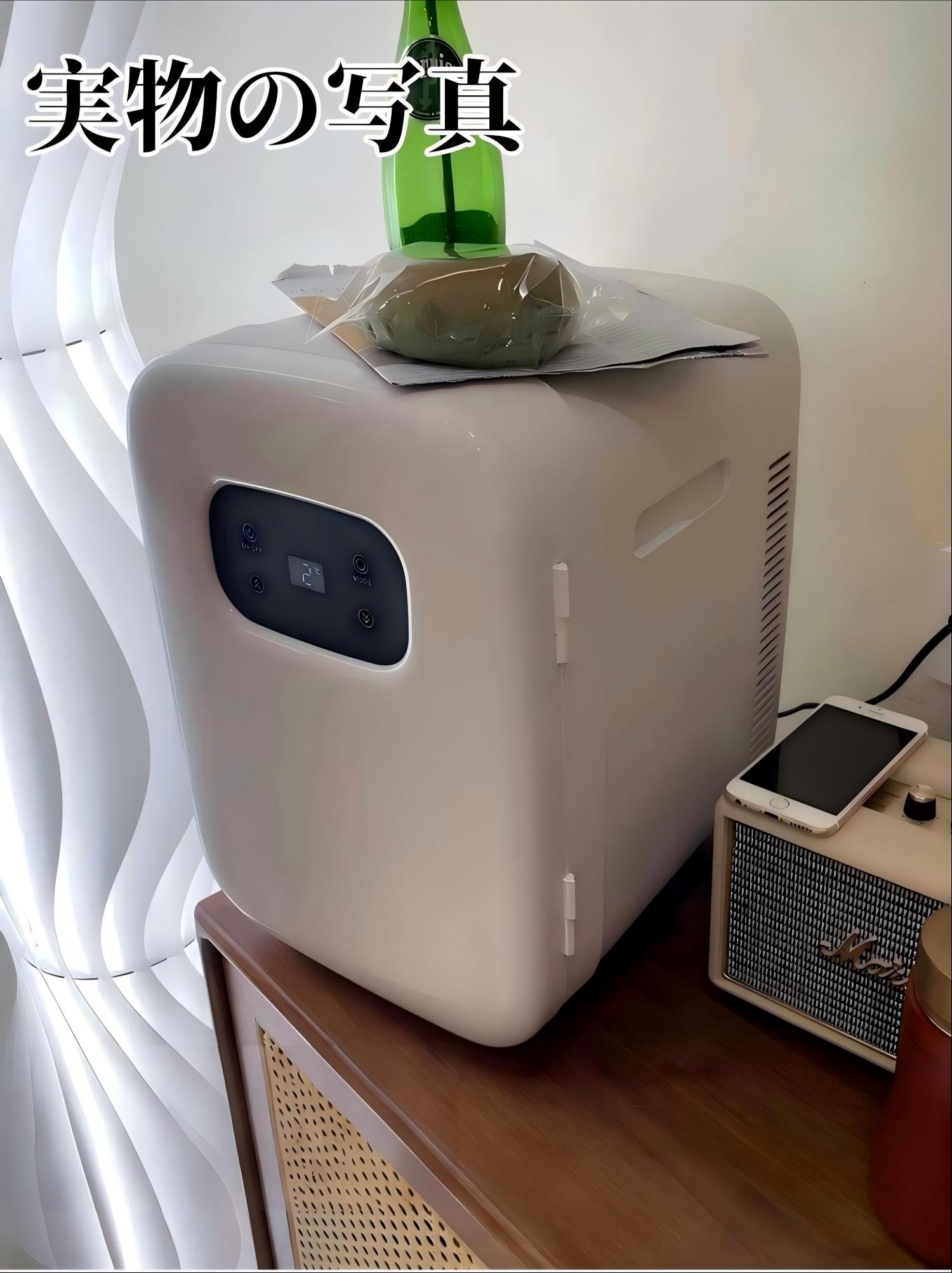 車用 冷蔵庫 小型 10L ミニ冷蔵庫 小型 車載 保冷 保温 ポータブル 冷蔵庫 小型冷...
