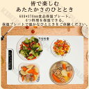 食品保温プレート ホットプレート 食品用電気保温トレイ 折りたたみ式 電気保温トレイ 卓上保温プレート 60℃~100℃ 温度調節可 ホットプレート 10秒急速加熱 お手入れも簡単 フルプレート加熱 収納袋付き ホームビュッフェ レストラン