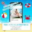 浮き輪 フロート ビッグフロート 大型 水上ベッド フラミンゴ ビッグサイズ 浮輪 うきわ 水遊び ビーチグッズ プール 海水浴 インスタ映え SNS おしゃれ 浮く マーメイド ビック パール 貝殻 真珠 貝 シーシェル 貝殻浮き輪