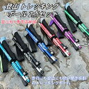 実用品★高品質 トレッキングポール 2点セット(登山杖+専用収納袋 )アルミ折り畳み 伸縮 調整可能 護身用 軽量 95-110cm 110-130cm 折りた...