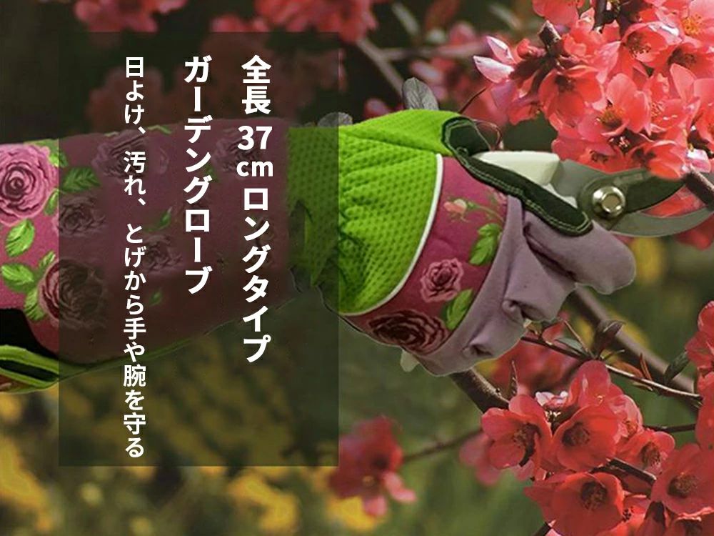 ���Ͽ����� �����ǥ˥󥰥������� �Х��� �� �����ǥ˥� ���� ���� �Х饰������ �Х���� �ȥ� ���� ���󥰥����� ��� ���� Ĺµ ���� ������ �Ȥ��ɻ� �Х� ����� ��� ��� ��ʪ ���� �����ǥ˥󥰼��� �����ǥ󥰥����� ���Ѽ���