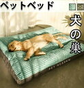 犬猫用品 寝具 かわいい ふとん おしゃれ 洗える 角型 長方形大型犬 ペットベッド ふわふわ 犬 秋 冬 大きいサイズあり 取り外して洗濯可 グリーン ネイビ...