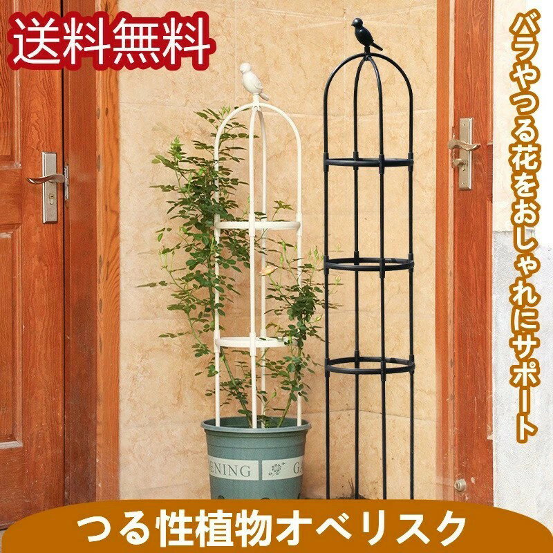 Obelisks - 送料無料 スモールオベリスク 150cm 径30mm 花 園芸用品 バラ 薔薇 オベリスクアーチ プランター おしゃれ 園芸用品 植木鉢 植物 鉢 組み立て 支柱 園芸 家庭菜園 送料無料