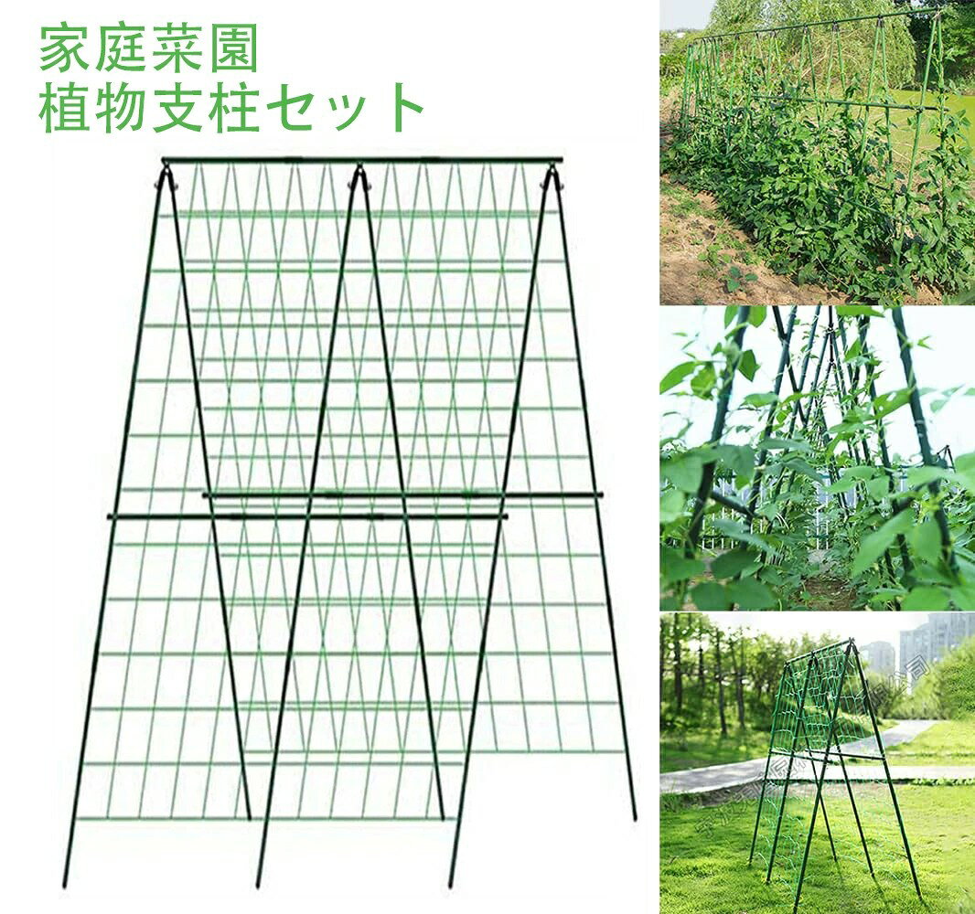 楽天市場】きゅうり 支柱セット（花・ガーデン・DIY）の通販