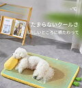 オールシーズン対応 冷却ジェル内蔵 天然ラタン編み 猫犬用ソファベッド 大型 洗えるカバー付き 夏用ひんやりペット寝床