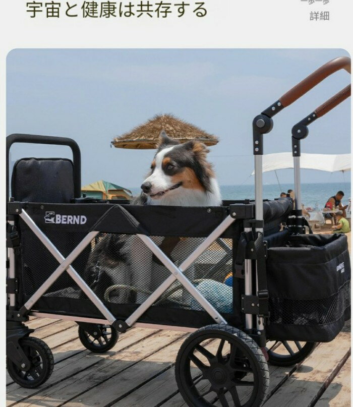 Bernd bloom �ڥåȥ����� ¿Ƭ ¿Ƭ���� �淿 �緿�� �� ������ �若�� �緿�� �淿�� ¿Ƭ���� �ޤꤿ���� �����ȥɥ� ������ ι�� ���ѥ٥ӡ����� �����ȥɥ��若�� ����꡼�若�� �ڥå��ѥ٥ӡ����� ���Υ���꡼������ ���ѥ�����