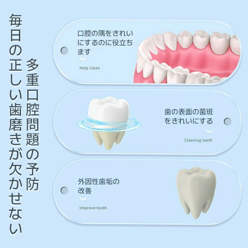 3D�ݷ���ž�֥饷 ���� �ۥ磻�� ��ư�ϥ֥饷 ��ư��ž ���᤭ �Ϥߤ��� �������� 360������ ���Ϥʹ�³�� IPX7�ɿ��٥� ��Ǽ�� ��ư���֥饷 ����������99.7%UP ��ž�� ��ư ���֥饷