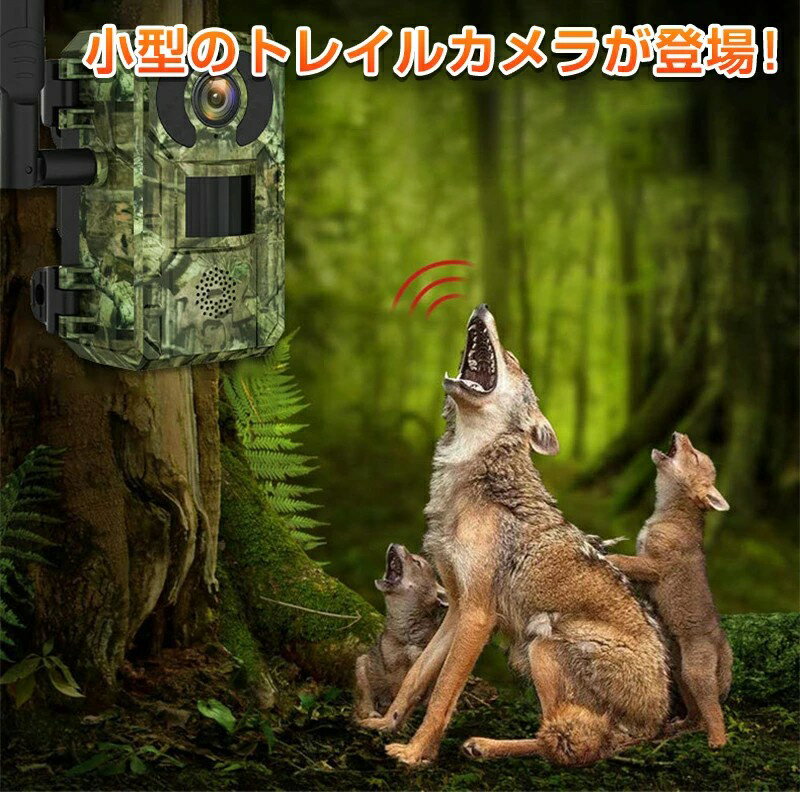 強力推薦☆防犯カメラ ソーラーパネル 赤外線無人撮影カメラ 工事不要 小型 防塵 防水 防犯 無人撮影 動画 静止画 自動録画 観察 録画 高画質 音声 家庭用 畑 農作物 庭 動物観察 レイルカメラ ワイヤレス 屋外 害獣 夜間撮影 赤外線 動体検知 録画 暗視カメラ