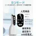 口腔洗浄器 歯垢除去 usb充電式 電動 超音波 ジェットウォッシャー 歯石取り 口腔ケア 携帯型 歯ブラシ ウォーターフロス 大容量 防水 口内洗浄機 ウォー...