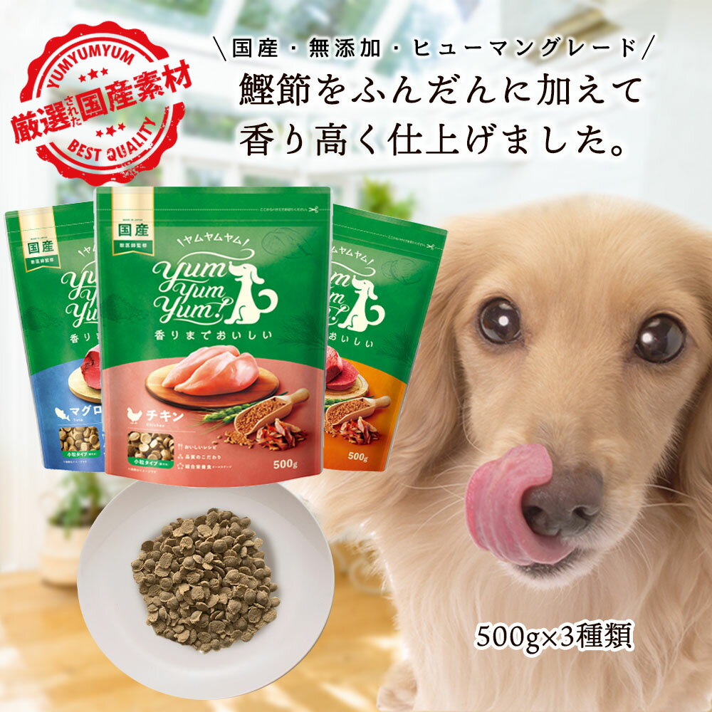 【食欲がない子におすすめ】【限定】美味しい食事体験！ヤムヤムヤム チキン 馬肉 マグロ 500g×3種類 アソート ヤムヤムヤムお試し サイズ 犬 無添加 国産 小粒 総合栄養食 yamyamyam グリーンドッグ 小型犬 成犬 老犬 シニア犬 涙やけ 食欲不振