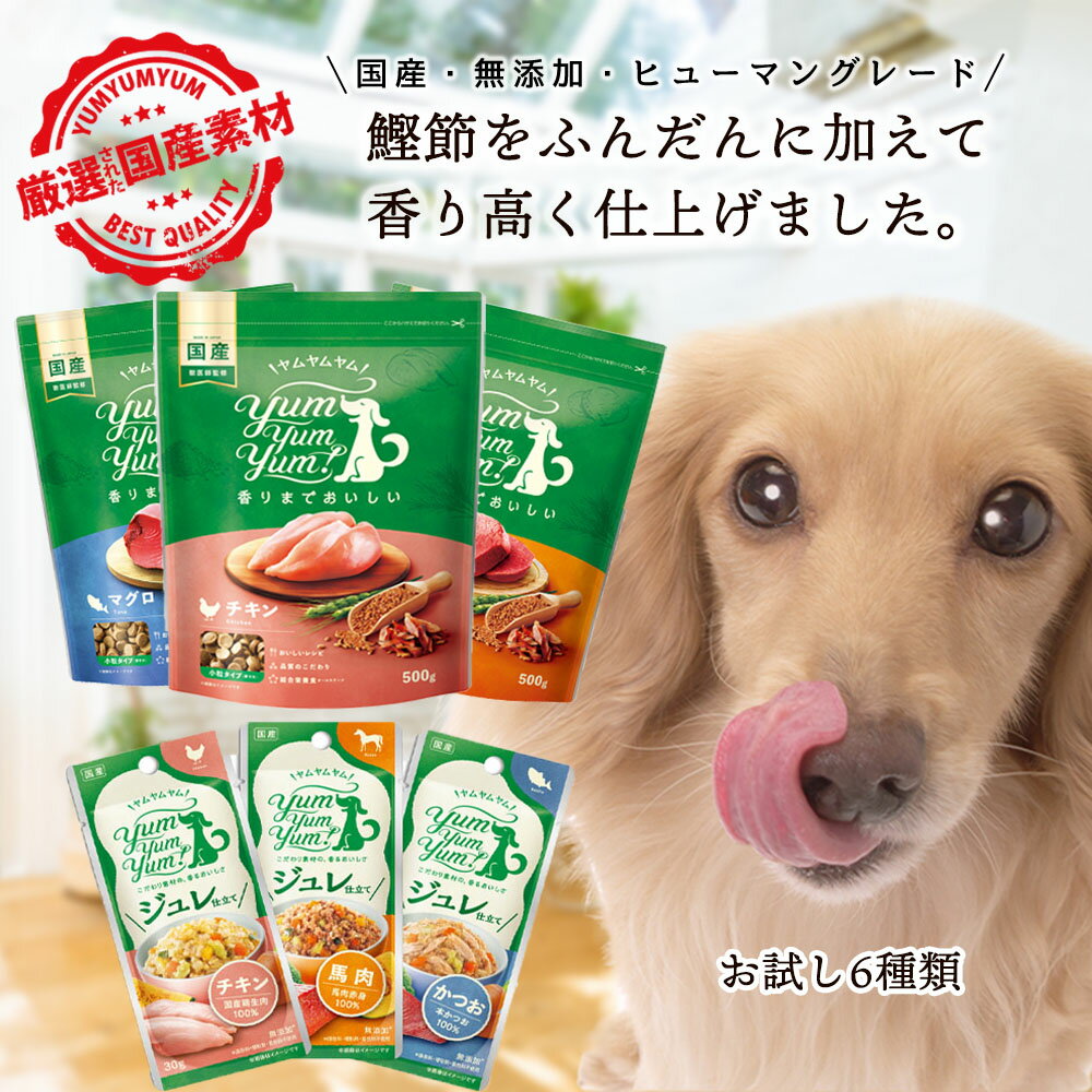 愛犬が喜ぶ！ヤムヤムヤム チキン シニア かつお ジュレ 馬肉 マグロ ヤムヤムヤムお試し パック ドッグフード 無添加 国産 小粒 総合栄養食 yamyamyam グリーンドッグ 小型犬 成犬 老犬 シニア犬 涙やけ 食欲不振 食いつき ドライフード オールステージ