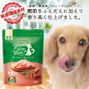 【食欲がない子におすすめ】 ヤムヤムヤム チキン ドッグフード 無添加 国産 500g 犬 ドッグフード シニア 国産 小粒 総合栄養食 yamyamyam グリーンドッグ 小型犬 成犬 老犬 シニア犬 涙やけ 食欲不振 食いつき ドライフード オールステージ