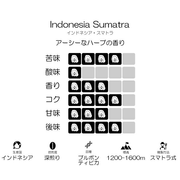 【インドネシア スマトラ】 / 3,980円以上 送料無料 スペシャルティコーヒー 豆 ド...