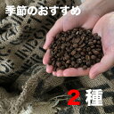 【季節のおすすめ】アソートセット 100g×2セット 200g コーヒー豆 メール便 送料無料 スペシャルティ コーヒー 豆 ドリップ ストレート ブレンド 珈...