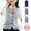【特価】 事務服 ベスト ESV924 S カーシーカシマ ホームクリーニング 洗える 洗濯 リクルート 女子制服 人気 カラー 売れ筋 19号