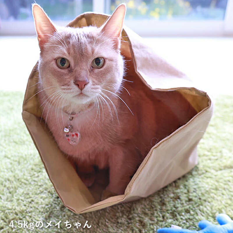 【猫のおもちゃ】 もぐれるベーカ